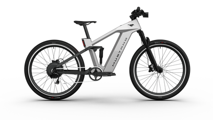 Ford  Mustang eBike