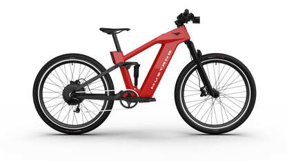 Ford  Mustang eBike