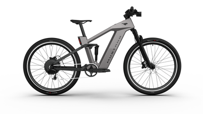 Ford  Mustang eBike