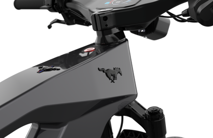 Ford  Mustang eBike