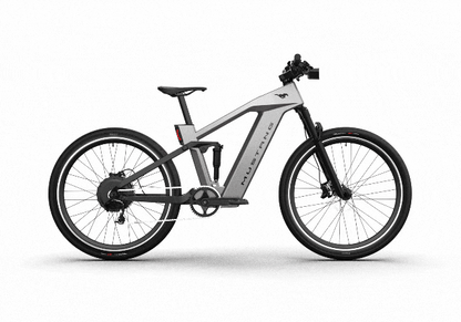 Ford  Mustang eBike